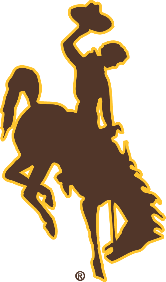 Wyoming Cowboys 2006-Pres Primary Logo iron on transfers for fabric